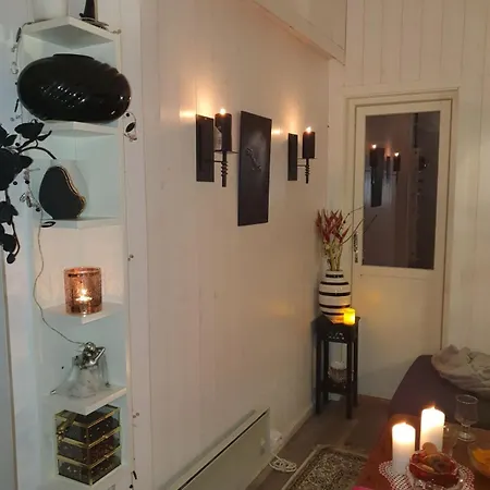 Chaleter Cozy In Front Of Lapphaungen Turiststation