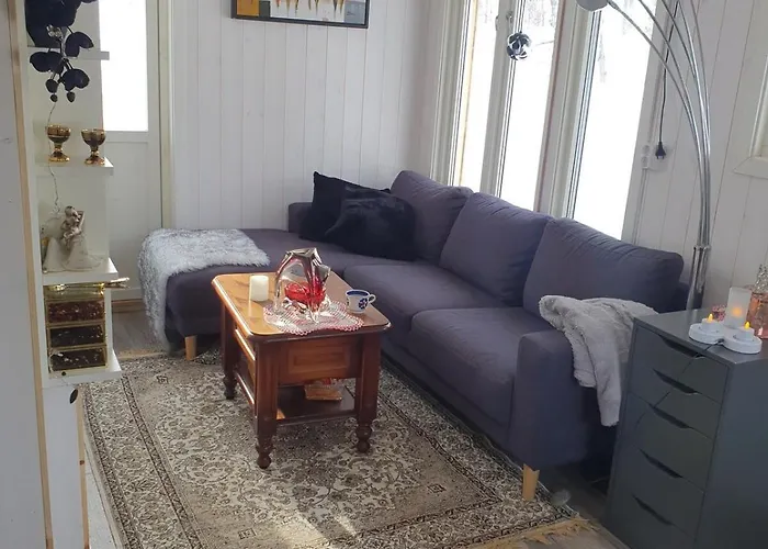 Cozy Without Water At Lapphaungen Tennevoll