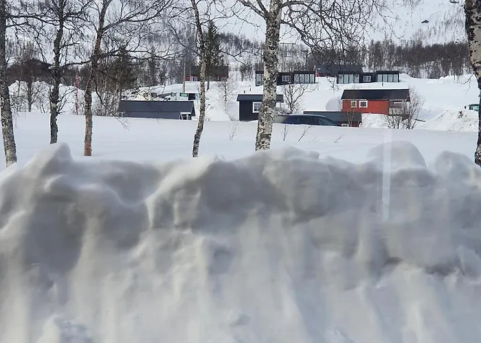 Cozy Without Water At Lapphaungen Chalet Tennevoll