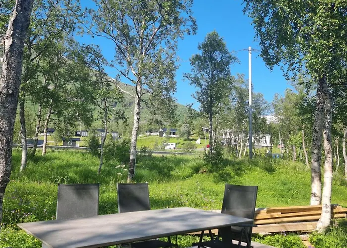Chalet Cozy Without Water At Lapphaungen Tennevoll